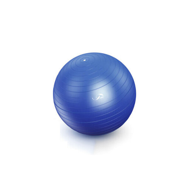 

55см Пилатес Yoga Мяч Soft Мяч Спортзал Фитнес Базовые упражнения Набор + Воздух Насос