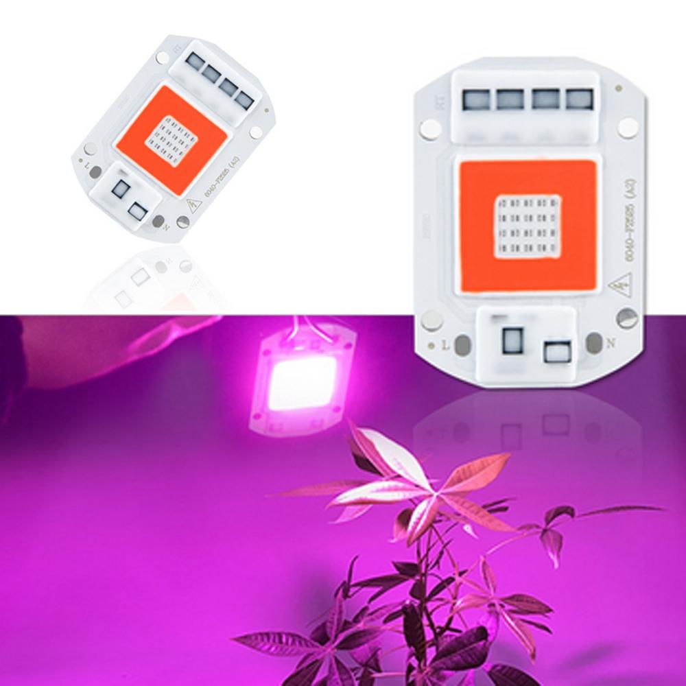 

AC110V / AC220V 20W 30W 50W Full Spectrum Red & Blue LED Увеличить светлый чип для внутренних растений Цветы