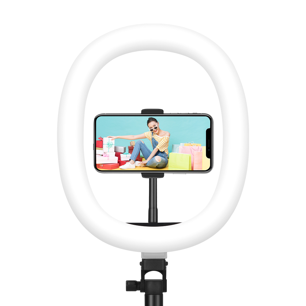 Find MZ-10 10 Inch Integrated Telescopic Folding Live Fill Light 3 Light Modes 10 Brightness Level Dimmable LED Ring Light for Makeup Photography YouTube Vlog TIK Tok for Sale on Gipsybee.com with cryptocurrencies