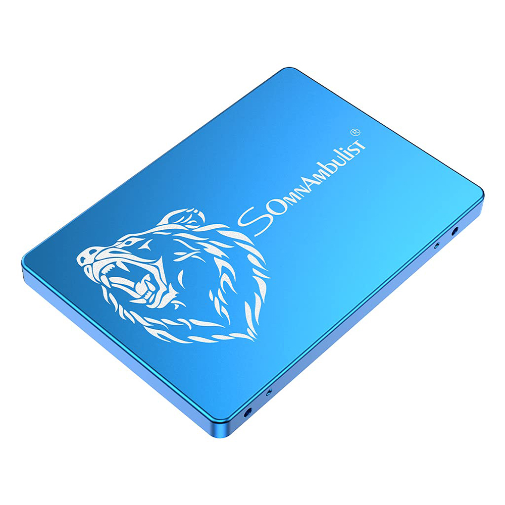 Find Somnambulist 2.5 inch SATA III SSD Solid State Drive 550MB/s 120GB/240GB/480GB/960GB/2TB Hard Disk for Laptop Desktop Blue Bear for Sale on Gipsybee.com with cryptocurrencies