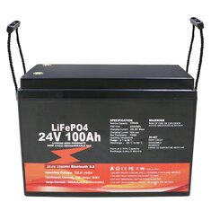 [EU Direct] FUYUE 24V 100Ah Batteria di backup LiFePO4 a Bluetooth Stazione di alimentazione portatile al litio-ione Batterie al fosfato di litio per pacchetto di batterie per camper elettriche con BT LFP24100