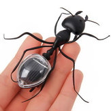 Brinquedo educativo solar de modelo de formiga economizadora de energia para crianças. Presente de brinquedo divertido para ensinar insetos.