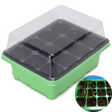 12 Holes Plant Seeds Grow Box Seeds Sprout Tray Garden Tools