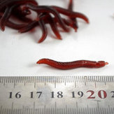10 esche da pesca morbide in silicone Vermi rossi in plastica