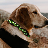 Collier LED clignotant lumineux pour chien, ajustable, assurant une sécurité optimale la nuit
