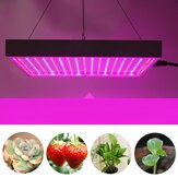 AC85-265V 60W 289 LED Büyüme Lambası Indoor Bitki Sebze Çiçek için