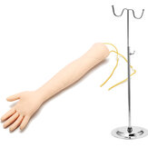IV Практическая рука для флеботомии. Модель практики взрослых венопункции. Медицинская тренировочная модель.