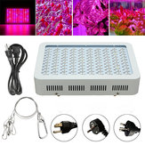 Lâmpada de espectro completo de 100W com 100 LED para plantas hidropônicas internas