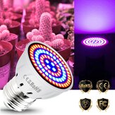 LED фитолампы полного спектра роста LED лампы для рассады поддерживают E14 E27 для теплицы растений