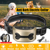Anti-Bell-Kontrollhalsband 7 Gänge Empfindlichkeit Wasserdichter elektrischer Schock USB-Ladegerät Haustierbedarf Hundehalsbänder Training