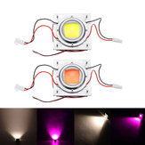 50W Biały / Różowy Kolorowy Zestaw Źródła Światła Full Spectrum COB z Radiatorem Moduł Szkiełkowy LED Lens AC170-300V
