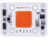  AC170-300V 50W IP65 Waterproof Anti-Thunder Controle de temperatura LED Grow Light Chip