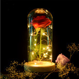 Κόκκινο τριαντάφυλλο φώτα διακοσμήσεις Ομορφιά Μαγεμένη Διατηρημένο Κόκκινο Φρέσκο Ροδάκινο Κάλυμμα γυαλιού με LED φως