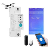 1P 63A eWelink Single Phase Din Rail WIFI Smart Switch Energy Meter Leakage Protection Remote Read KWh Meter Wattmeter Works with Alexa Google
