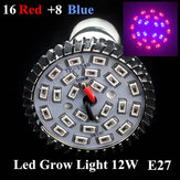 8W E27 16 Rojo 8 Azul Jardín Planta Cultivo LED Invernadero con bombilla Planta Luz de crecimiento de plántulas
