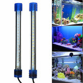 Aquarium étanche LED barre lumineuse réservoir poisson Submersible vers le bas lumière Tropical Aquarium produit 2.5W20CM