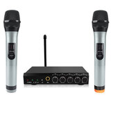 Bluetooth VHF Dual Channel Vezeték nélküli mikrofon rendszer kézi mikrofonnal és hordozható mini karaoke keverőgép