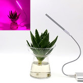 Lâmpada de crescimento de plantas LED portátil USB de 5V 2.5W com 10 luzes vermelhas e 4 azuis para casa, escritório, jardim e estufa