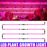 Lampada a LED per coltivazione da 30/50cm spettro completo, tubo barra per piante da interno per fiori, verdure in crescita, sostenendo piante grasse, orti idroponici interni