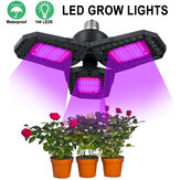 144 LED Grow Lights Panel Full Spectrum E27 LED Plant Growth Green Lamp