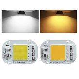LUSTREON AC160-260V 20W 30W 50W Blanc/Blanc chaud Puce LED COB pour éclairage de projecteur DIY