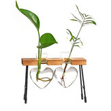Jarrón hidropónico creativo en forma de corazón para plantas verdes como decoración para el hogar, oficina o escritorio con aire fresco