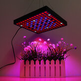 屋内水耕野菜花用AC110-240V LEDグローライトフルスペクトルプラントランプ