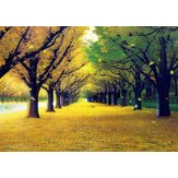 Gold Floor Large Size HD Stereoscopic Painting 70 * 1003d Decorative Painting 6004