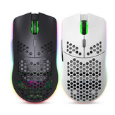 HXSJ T66 2.4Ghz Wireless Mouse 800-3600DPI Honeycomb Hollow Lightweight RGB Lighting Rechargeable Mouse Laptop Desktop Mouse For Home Office