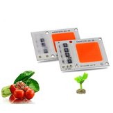 20W 30W Full Spectrum COB Chip LED ضوء النمو لنباتات الخضروات الداخلية الكاملة AC220V