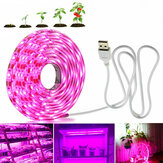0.5M/1M/3M/5M USB LED Grow Strip Light Full Spectrum Indoor Plant Growing Lamp for Garden Vegetable Flower Seeds