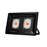 AC220V 100W Vollspektrum-LED-Flut-Licht wasserdicht IP65 für Indoor-Outdoor-Pflanze
