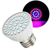 E27 5W LED Büyütmek için Işık Dikme Çiçek Lamba Ampul Tam Spectrum Hydroponic