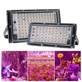 XANES® AC 220V 50 / 100W LED növekedési fény Teljes spektrum Növényi növekedés Öntöző öntözőhöz virágokhoz,palántákhoz EU dugóval