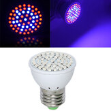 ضوء نمو بقدرة 3 واط LED بكامل الطيف E27 60 LED 41 أحمر 19 أزرق لنباتات الهيدروبونية AC220V