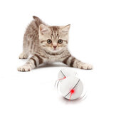 Λος PT-15 Ηλεκτρονική 360 μοιρών Αυτόματη περιστρεφόμενη μπάλα Αυτόματη περιστρεφόμενη μπάλα LED Light Pet Cat Toys Pet