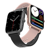 [Mindig bekapcsolt kijelző] DT NO.1 DT102 1,9 hüvelykes HD Keskeny keretű képernyő Bluetooth hívás AI Voice Assistant NFC Access vészhívás EKG pulzusmérő 500 óralapok Smart Watch
