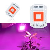 AC110V / AC220V 20W 30W 50W Tam Spektrum Kırmızı & Mavi LED Büyüme Işığı Çipi için Kapalı Bitkiler Çiçekler