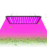 Lampada per piante a spettro completo con 256 LED UV per la coltivazione idroponica al chiuso