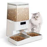 PETEMPO Abnehmbarer waschbarer 5L Automatischer Katzenfutterautomat Futterautomat für Haustiere mit Digitalem Display