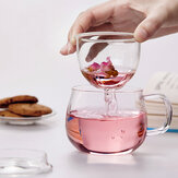 320ml aquecem a xícara de chá de xícara de vidro transparente resistente com a tampa infuser filtro