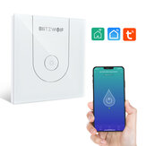 BlitzWolf® BW-SS10 3000W WiFi Smart Water Heater Switch لمس Glass Panel وقت Schedule التطبيق التحكم عن بعد مراقبة Voice مراقبة يعمل مع Amazon Alexa و Google Assistant