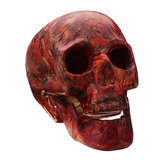 Decoraciones de fiesta en casa de Halloween de horror espeluznante gótico de cráneo humano esqueleto