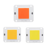 Chip LED COB bianco/caldo/oltre dettaglio spettro cresce luce di 50W per interno
