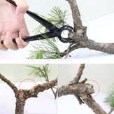 Herramientas para principiantes de bonsái Cortador cóncavo de bordes redondos de 210 mm