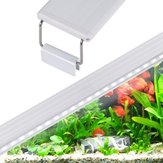 Éclairage pour aquarium à LED de 4/6/8W pour poisson, plantes, coraux et lampe marine