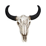3D Longhorn Cow Skull Head Resin Wall Hanging Sculpture Craft Ox Horns Decorations