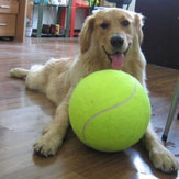 24cm Grote Reuze Huisdier Hond Puppy Tennisbal Werper Chucker Lanceerder Huisdierspeelgoed