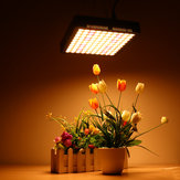 100 Вт 300 LED Grow Light Растение Гидропоника Полный спектр овощей Растение Лампа AC85-265V