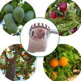 Cueillette de fruits en plastique Catcher Kit de jardinage Matériel de jardinage de ferme Matériel de cueillette Outils